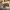 https://res.cloudinary.com/billionhands/image/upload/v1770832313/items/vwz4wznn7r8s3htbgia0.jpg-0cover