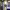 https://res.cloudinary.com/billionhands/image/upload/v1770832315/items/ehrf7siypkerssjetfxv.jpg-2cover