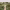 https://res.cloudinary.com/billionhands/image/upload/v1770832333/items/nqgcflwdqp3zlpdksvtn.jpg-1cover