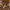 https://res.cloudinary.com/billionhands/image/upload/v1770832334/items/wa8vd1qzwwuu6cxtioas.jpg-2cover