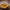 https://res.cloudinary.com/billionhands/image/upload/v1770832366/items/o42xuglxpknjyzsv91sr.jpg-2cover