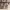 https://res.cloudinary.com/billionhands/image/upload/v1770832373/items/vyesfxzxmplz4xc7tibb.jpg-1cover
