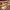 https://res.cloudinary.com/billionhands/image/upload/v1770832388/items/hblz5gog9yekphhohoxe.jpg-2cover