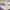 https://res.cloudinary.com/billionhands/image/upload/v1770832397/items/yj5jqcarqt1j6nohkrxc.jpg-1cover