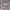 https://res.cloudinary.com/billionhands/image/upload/v1770832399/items/ogr4sf9f4okhhvvrx1h5.jpg-3cover