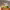 https://res.cloudinary.com/billionhands/image/upload/v1770832408/items/mhj0k9jogvd9dyt6dmae.jpg-0cover