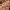 https://res.cloudinary.com/billionhands/image/upload/v1770832415/items/zkspcn7vuof3p1irx5ch.jpg-0cover