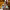 https://res.cloudinary.com/billionhands/image/upload/v1770832421/items/zlklrbbuh1du0lgzvw77.jpg-3cover