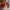 https://res.cloudinary.com/billionhands/image/upload/v1770832439/items/vamwu4pabwxuixvlsrgw.jpg-0cover