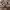 https://res.cloudinary.com/billionhands/image/upload/v1770832500/items/jyx5rxwdftwovotl1gux.webp-2cover