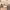 https://res.cloudinary.com/billionhands/image/upload/v1770832527/items/xzloxma7csosskmmvltk.png-0cover
