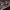 https://res.cloudinary.com/billionhands/image/upload/v1770832531/items/icrokssi2mpggsudtvqm.jpg-2cover