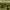 https://res.cloudinary.com/billionhands/image/upload/v1770832580/items/wfdlh6m1zrxxeaqj1vsf.jpg-1cover
