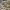 https://res.cloudinary.com/billionhands/image/upload/v1770832583/items/syjijh0ktgc8re2ilqny.jpg-3cover