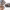 https://res.cloudinary.com/billionhands/image/upload/v1770832593/items/yczsjhrlwjvwgurxncz5.jpg-2cover