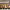 https://res.cloudinary.com/billionhands/image/upload/v1770832618/items/kqwjdqyjmypdxegmvlkg.jpg-3cover