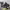 https://res.cloudinary.com/billionhands/image/upload/v1770832618/items/zt0n1fhlvrrqojrvav55.jpg-0cover