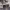 https://res.cloudinary.com/billionhands/image/upload/v1770832643/items/wosrojyvdjrgalsqywdq.jpg-2cover