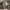 https://res.cloudinary.com/billionhands/image/upload/v1770832651/items/emjfcn8vmvidnxpdt0gt.jpg-1cover