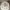 https://res.cloudinary.com/billionhands/image/upload/v1770832725/items/fc8yxp7obnvqrxrikkz4.jpg-0cover