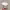 https://res.cloudinary.com/billionhands/image/upload/v1770832749/items/cgv5q3y0wsapjcnbfraa.jpg-0cover