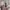 https://res.cloudinary.com/billionhands/image/upload/v1770832754/items/yzitp84ol1gurtdsb4nr.jpg-2cover