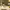 https://res.cloudinary.com/billionhands/image/upload/v1770832765/items/digczr6wxcz9icharo0o.jpg-1cover
