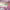 https://res.cloudinary.com/billionhands/image/upload/v1770832768/items/sg0xwugbiccxknedplwp.webp-1cover