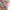 https://res.cloudinary.com/billionhands/image/upload/v1770832771/items/v1rvyaa33wlb1f2bm4j9.webp-2cover