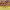 https://res.cloudinary.com/billionhands/image/upload/v1770832812/items/l1sahp1mgn3biiebvepk.jpg-3cover