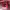 https://res.cloudinary.com/billionhands/image/upload/v1770832864/items/ux06a9fp0kvihuaopt21.jpg-0cover