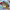 https://res.cloudinary.com/billionhands/image/upload/v1770832876/items/l1vbsabqthso3p1ef3px.avif-0cover