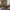 https://res.cloudinary.com/billionhands/image/upload/v1770832879/items/g3jlp2hlwef8jmuj9pmu.jpg-3cover