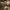 https://res.cloudinary.com/billionhands/image/upload/v1770832881/items/uubrg92h4qsxtvzhrwjx.jpg-3cover