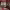 https://res.cloudinary.com/billionhands/image/upload/v1770832883/items/x0mgwgz0jbpwjhmt5vrx.jpg-3cover