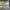 https://res.cloudinary.com/billionhands/image/upload/v1770832890/items/t71ofvxlwhhfkmhkgfto.jpg-2cover