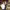 https://res.cloudinary.com/billionhands/image/upload/v1770832892/items/ddyn3jiuwktqfckbwj94.webp-0cover