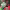 https://res.cloudinary.com/billionhands/image/upload/v1770832893/items/vbn8uqdibhhtveegx3mj.webp-3cover