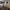 https://res.cloudinary.com/billionhands/image/upload/v1770832938/items/jdarppx290n1k0mvpmyn.webp-1cover