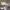 https://res.cloudinary.com/billionhands/image/upload/v1770832941/items/mqhrcrivoxkbbfnygvnp.jpg-0cover