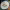 https://res.cloudinary.com/billionhands/image/upload/v1770832946/items/itc2k1y2exlqejbcalhx.webp-2cover