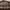 https://res.cloudinary.com/billionhands/image/upload/v1770832959/items/cehng1p88pmp1dfderwe.jpg-2cover