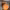 https://res.cloudinary.com/billionhands/image/upload/v1770832975/items/z0hnguqy0nvofb8kgvum.webp-2cover