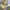 https://res.cloudinary.com/billionhands/image/upload/v1770832989/items/uk61wz5jgfq7sy1iiqv4.webp-1cover