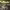 https://res.cloudinary.com/billionhands/image/upload/v1770832999/items/fdqm2fzqcqfdvny814vh.webp-0cover