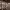 https://res.cloudinary.com/billionhands/image/upload/v1770833014/items/olipjuwlcbkot9aekft5.jpg-0cover