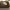https://res.cloudinary.com/billionhands/image/upload/v1770833022/items/zvdillbhw0lglc0i6rzn.jpg-2cover