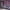 https://res.cloudinary.com/billionhands/image/upload/v1770833033/items/reepyq5jmjujfbyg9g6y.jpg-1cover