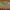 https://res.cloudinary.com/billionhands/image/upload/v1770833041/items/r07pcvdydutwandhm4hj.jpg-3cover