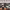 https://res.cloudinary.com/billionhands/image/upload/v1770833041/items/wuqdyvfth9k9fbupxu1n.webp-3cover